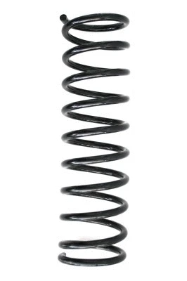 Suspension Spring (49500)