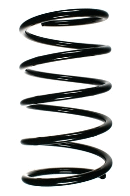 Suspension Spring (55493)