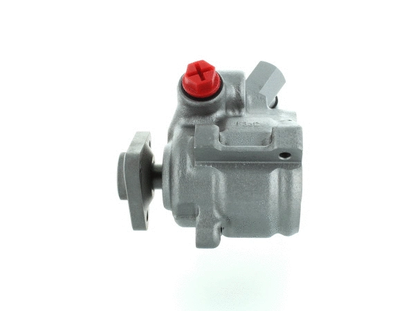 Hydraulic Pump, steering (54348)
