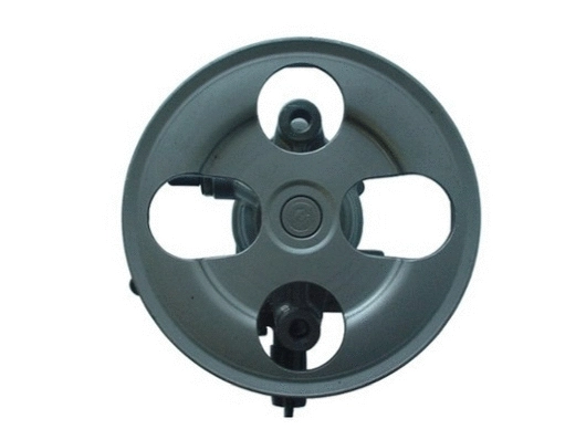 Hydraulic Pump, steering (54176)