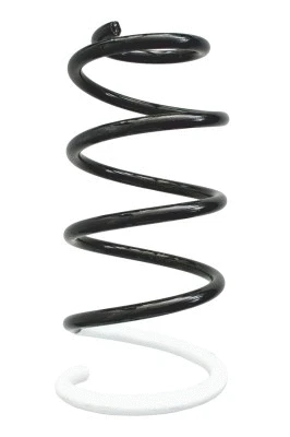 Suspension Spring (86713)