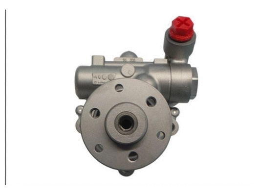 Hydraulic Pump, steering (54318)