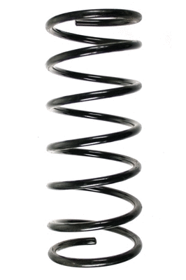 Suspension Spring (48080)