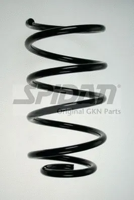 Suspension Spring (85878)