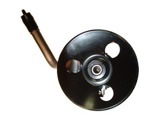 Hydraulic Pump, steering (54136)