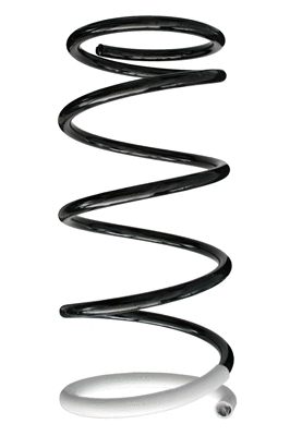 Suspension Spring (85245)