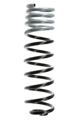 Suspension Spring (48213)