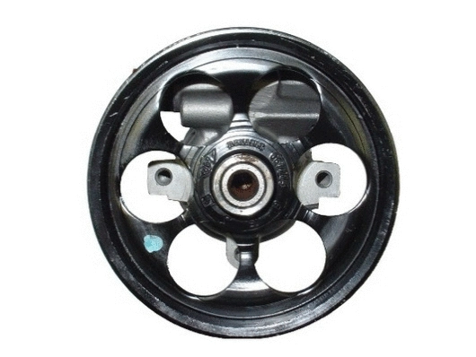 Hydraulic Pump, steering (54302)