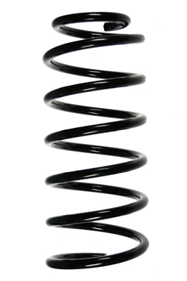 Suspension Spring (48224)