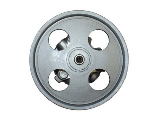Hydraulic Pump, steering (53542)