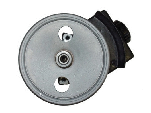 Hydraulic Pump, steering (53548)