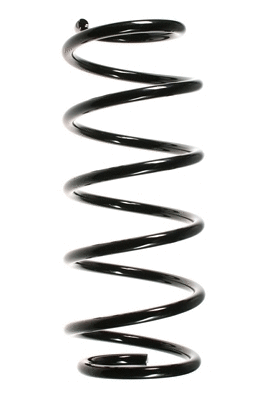 Suspension Spring (48074)