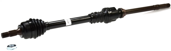 Drive Shaft (21734)