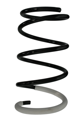 Suspension Spring (87081)