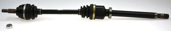 Drive Shaft (23742)