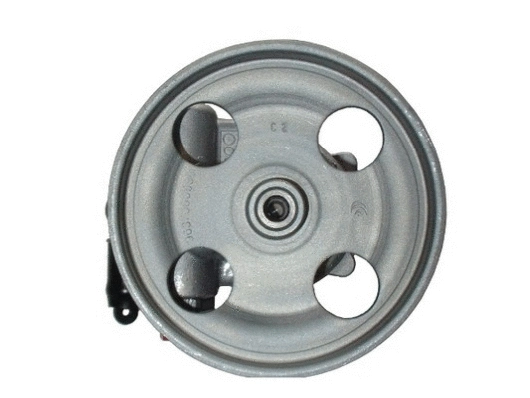 Hydraulic Pump, steering (54181)