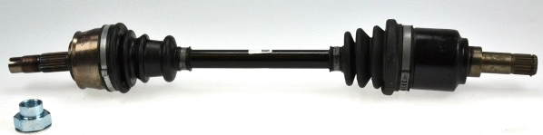 Drive Shaft (23784)