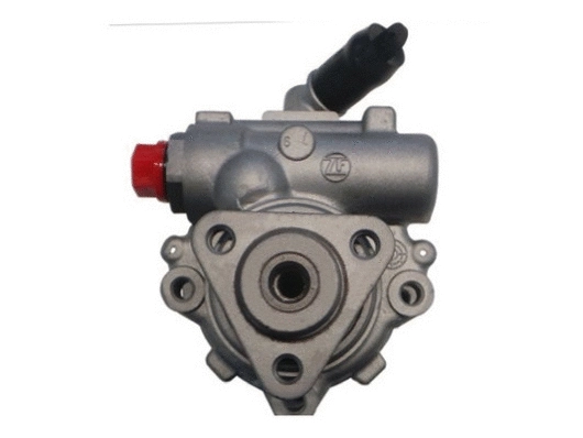 Hydraulic Pump, steering (53756)
