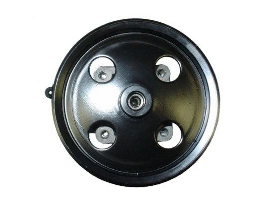 Hydraulic Pump, steering (54071)