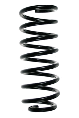 Suspension Spring (48371)