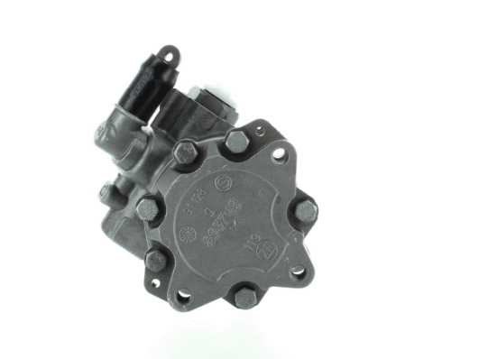 Hydraulic Pump, steering (54961)