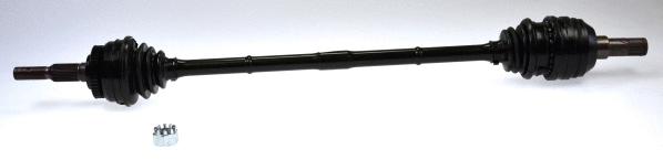 Drive Shaft (21442)