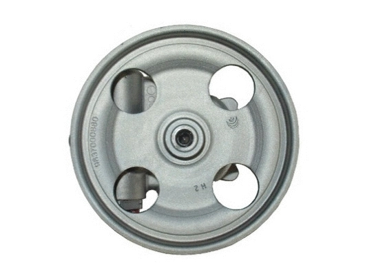 Hydraulic Pump, steering (54402)