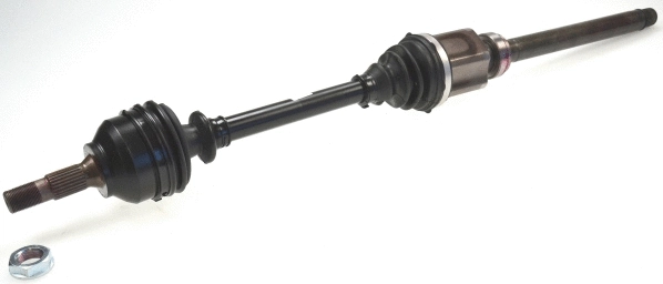 Drive Shaft (21972)