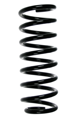 Suspension Spring (48065)