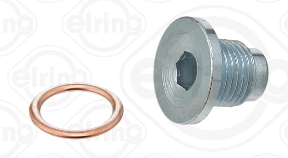 Screw Plug, oil sump (523.470)