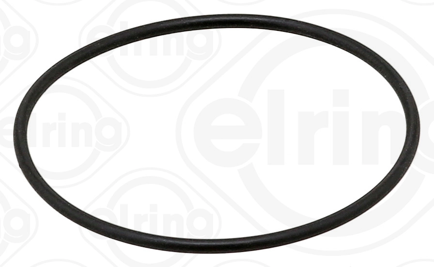 Seal Ring (393.830)