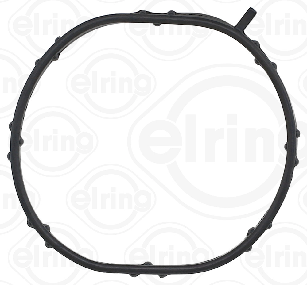 Gasket, thermostat housing