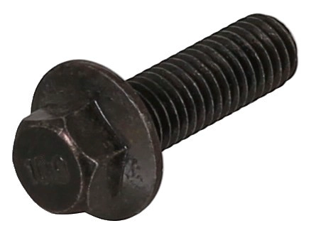 Screw (779.110)