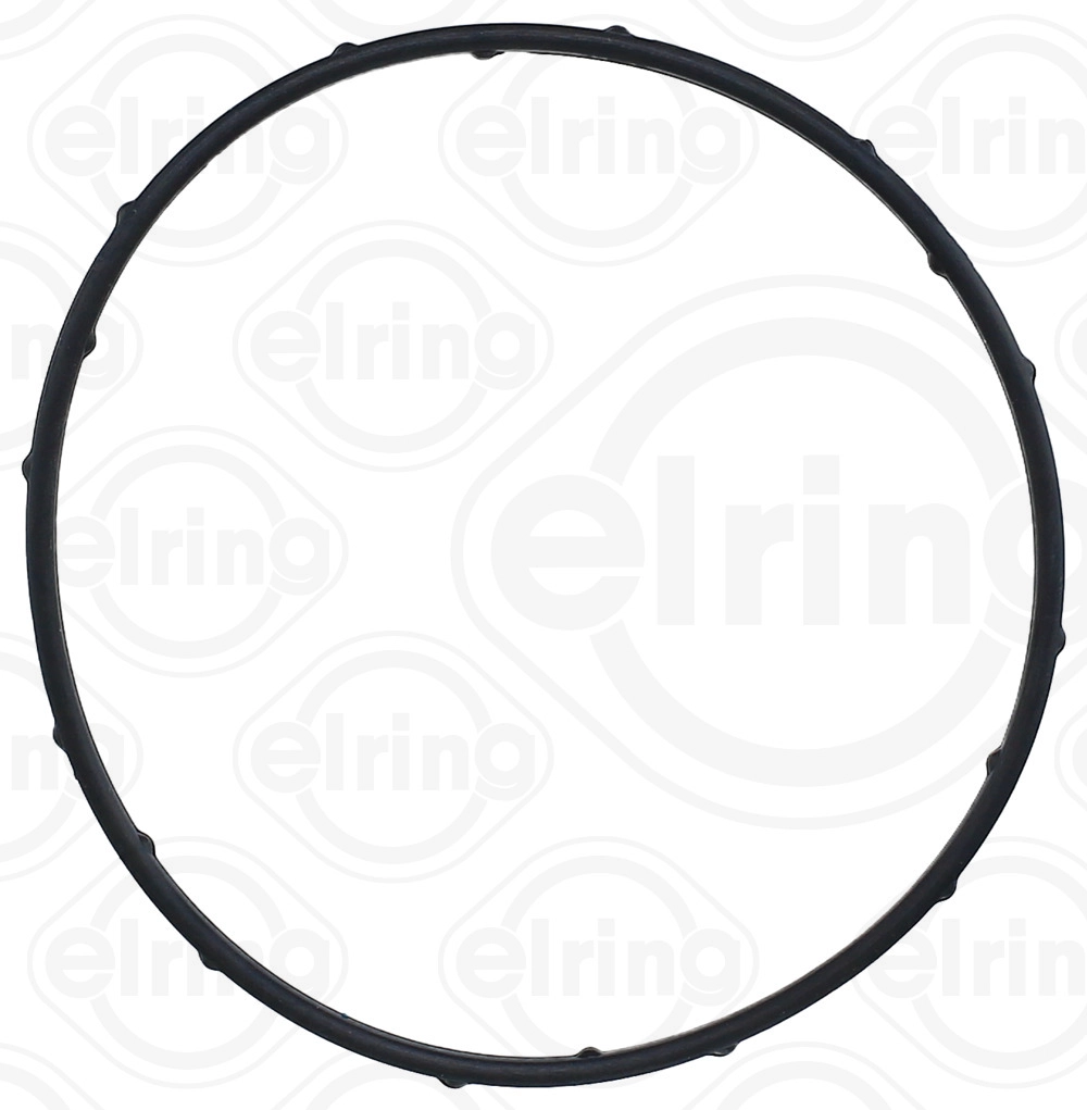 Seal Ring