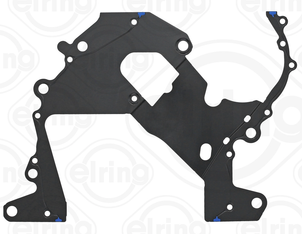 Gasket, timing case (257.212)