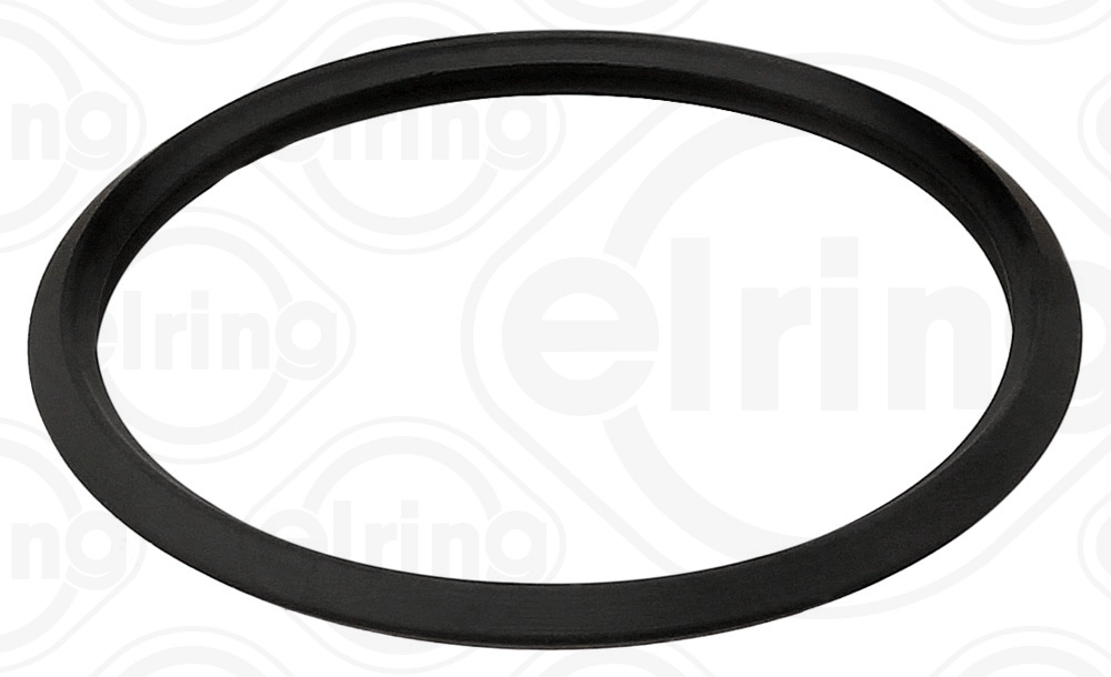 Seal Ring (495.980)