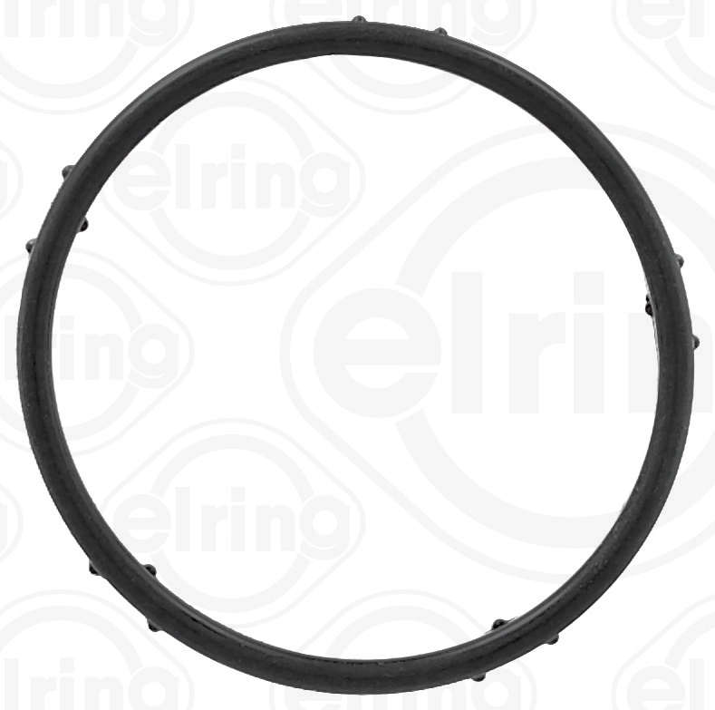 Seal Ring (429.490)