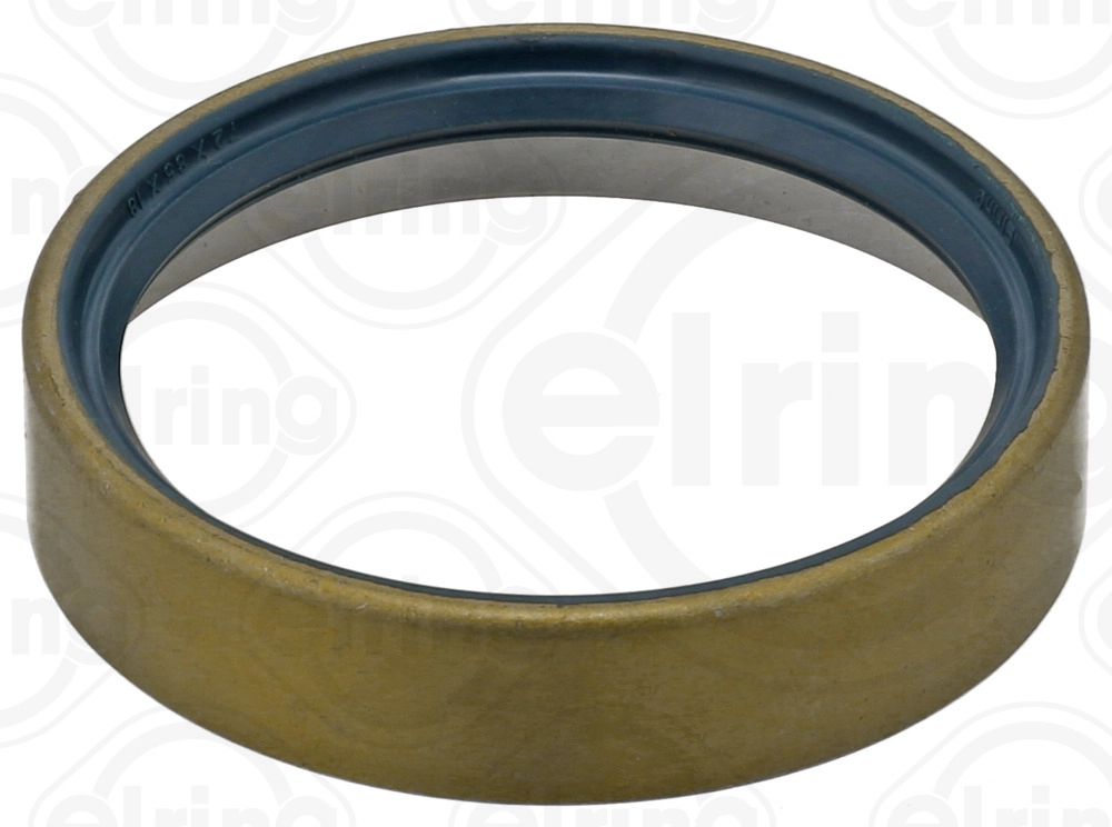Shaft Seal, wheel hub