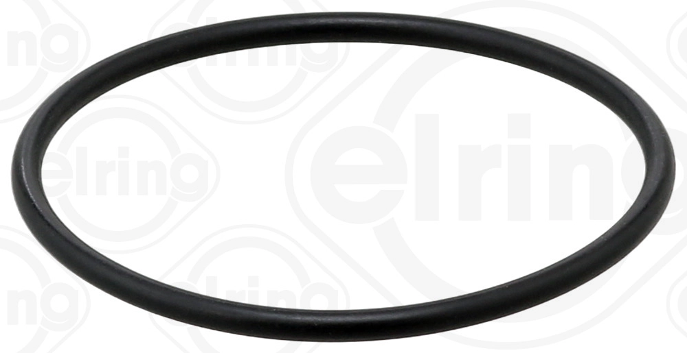 Seal Ring (375.770)