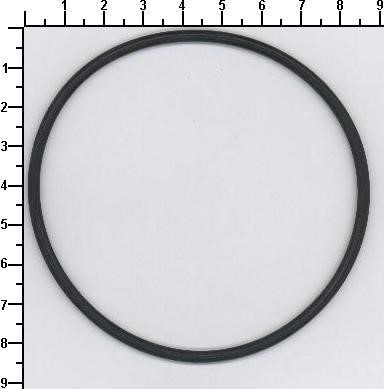 Seal Ring (049.565)