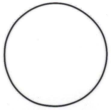 Seal Ring (056.690)