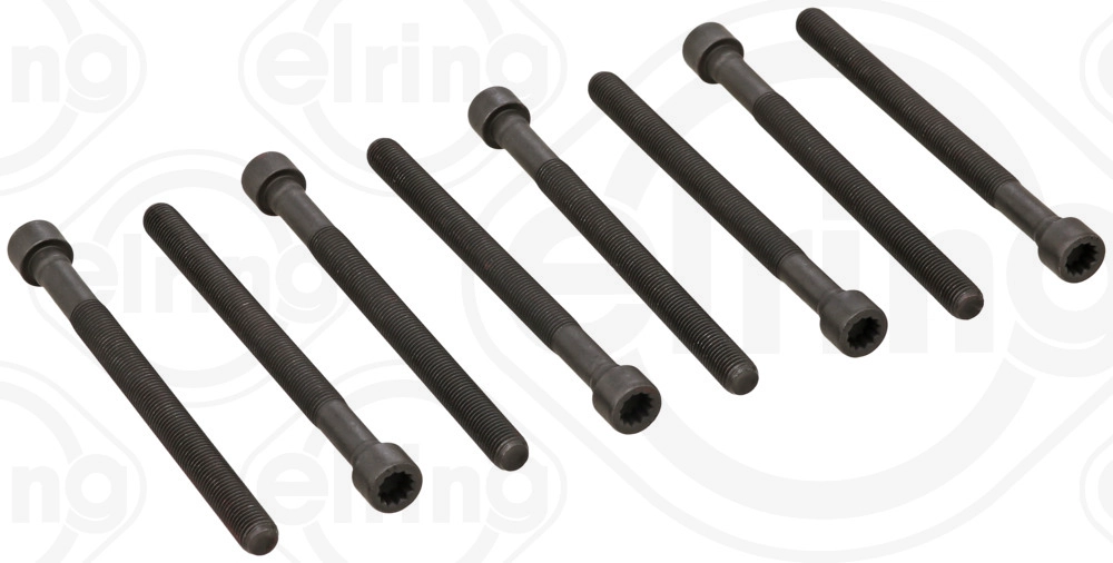 Cylinder Head Bolt Set (008.860)