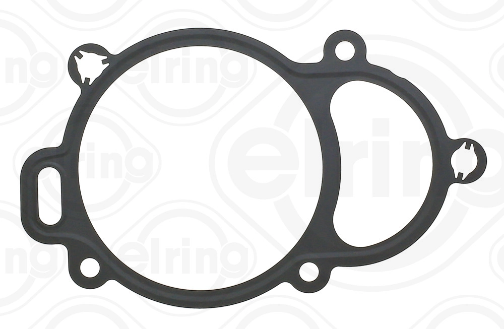 Seal, camshaft adjustment (798.300)