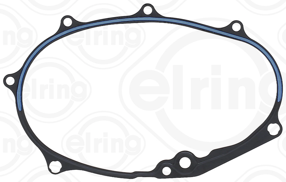 Gasket, timing case (876.673)