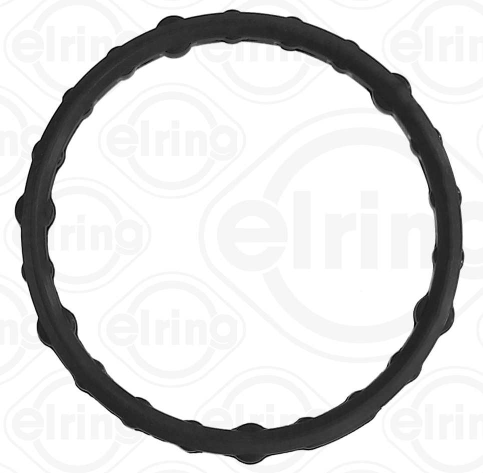 Gasket, timing case