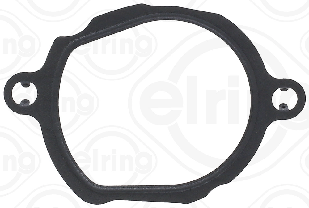 Seal, thermostat (584.070)