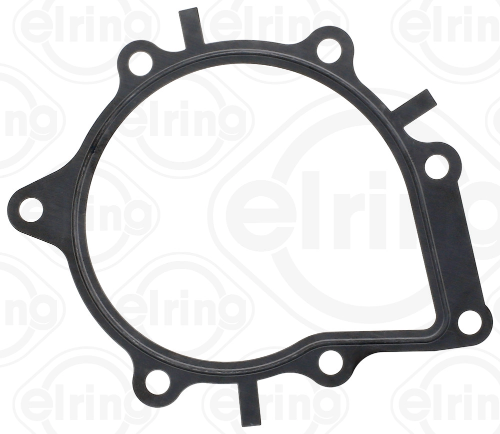 Gasket, water pump (823.770)