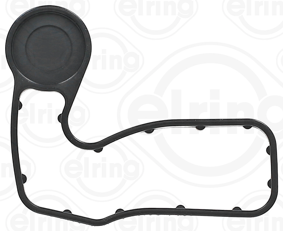 Gasket, timing case cover