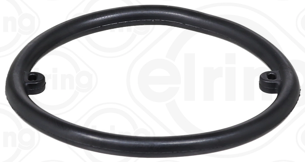 Seal Ring (634.380)