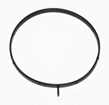 Gasket, EGR valve pipe (898.190)
